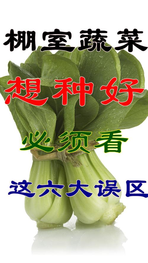 快手免费评论秒，误区与技巧指南