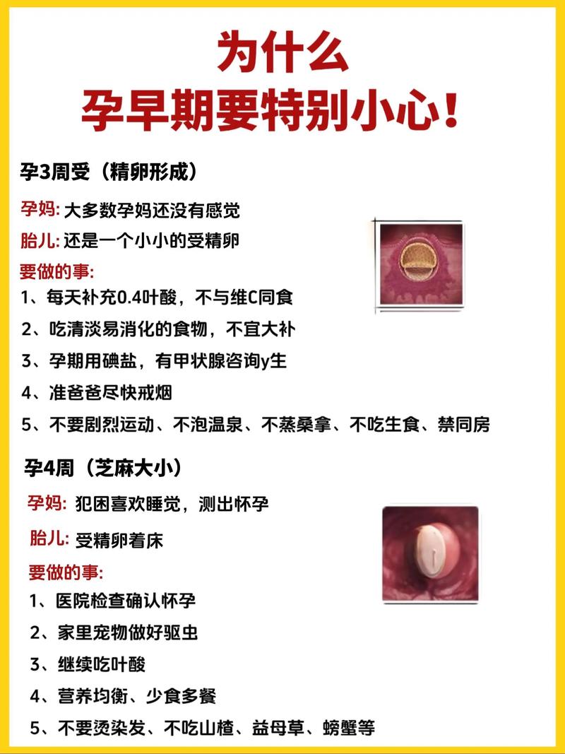 怀孕期间，电脑真的能玩得开心吗？这些小细节你必须知道
