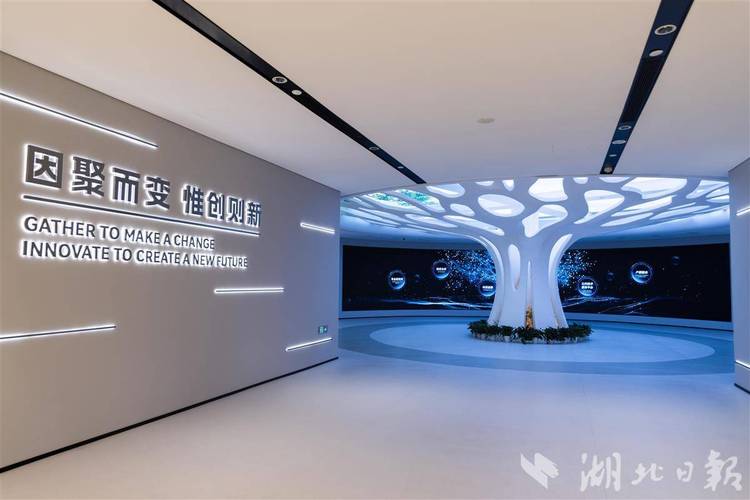 武大建站，高效精准创新，构建现代教育平台
