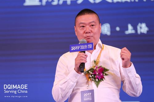 上海集团网络有限公司，创新与责任的双重使命
