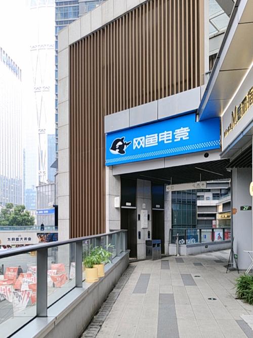 屯昌网络公司，网络技术领域的佼佼者