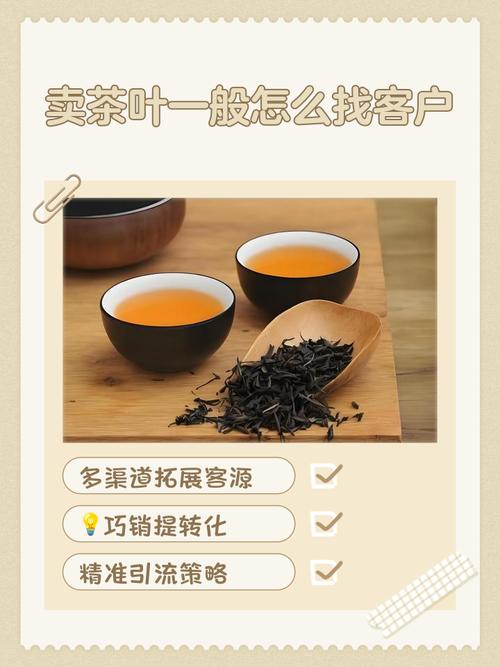 如何构建普洱茶网站，打造品牌形象，提升销售