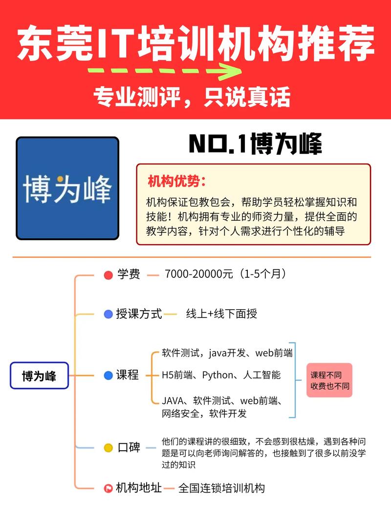 抖音自助下单平台与dy刷浏览量平台,你的全栈解决方案