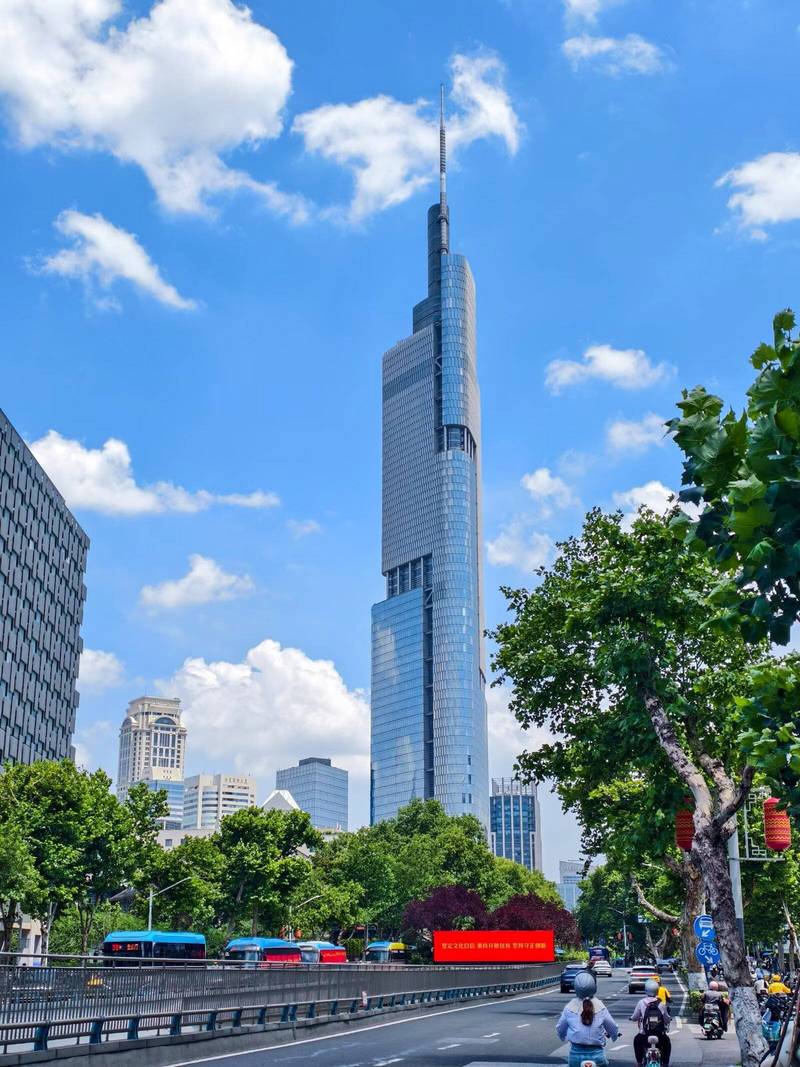 专业网站建设指南与南京作为专业城市的助力