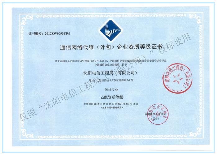 网络未来,沈阳网络团队建设指南