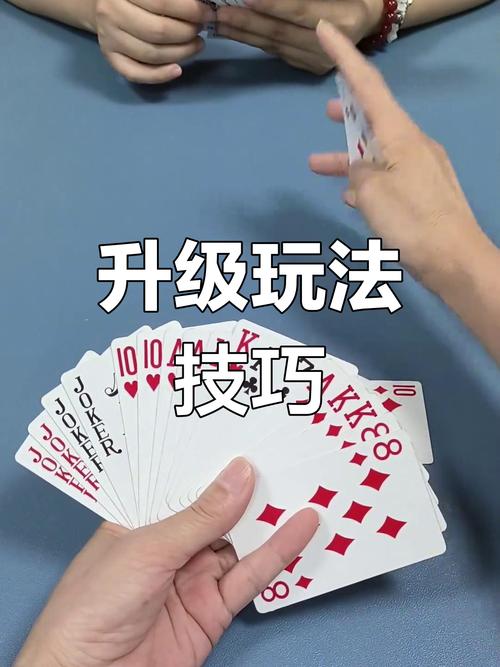 牌型网络，从基础到高级，带你解锁扑克的魅力！