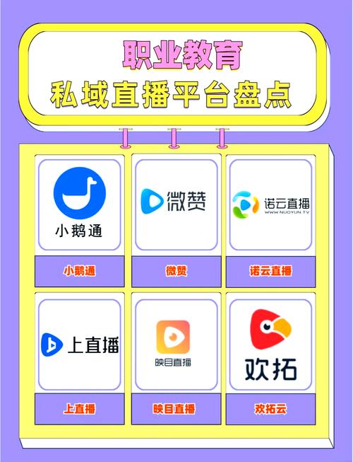 代刷平台,直播内容的高效转化工具