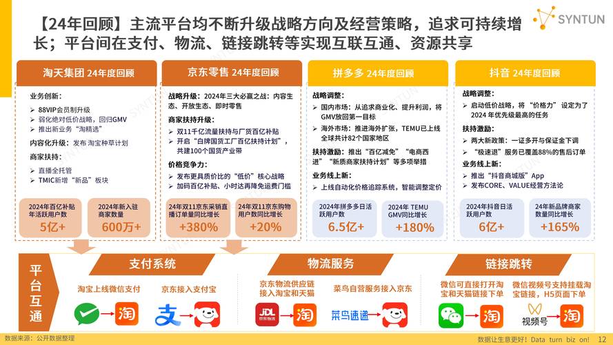 网络电商平台建设指南，从现状到未来