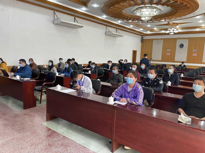 怀化市29号疫情最新动态，防控措施调整与应对策略