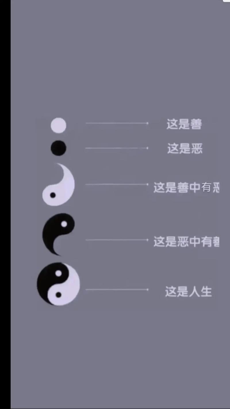 快手秒评论赞与抖音双击价格的平衡之道