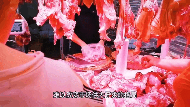 在市场行情中，我们还需要注意一些市场动态。比如，市场价格波动、市场竞争、政策变化等都会直接影响到市场行情。因此，消费者在购买之前，需要关注市场动态，了解价格走势和市场变化，从而做出更明智的购买决策