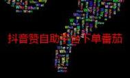 如何快速上热门抖音代网站、做ks赞自助下单平台、构建极速网站