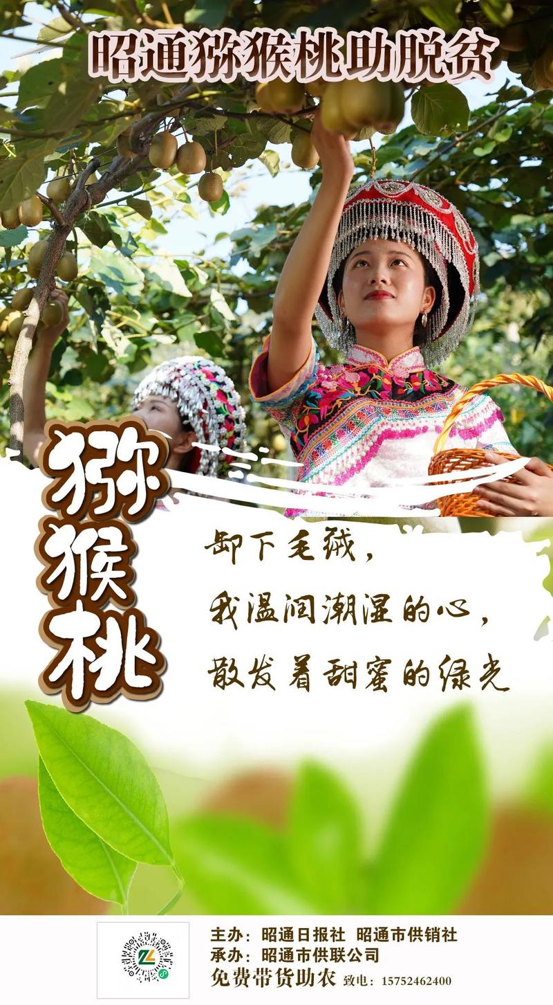 猕猴桃自助小下单平台，帮助用户快速完成购物或支付