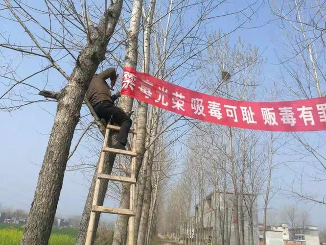 龙口疫情最新消息通告图