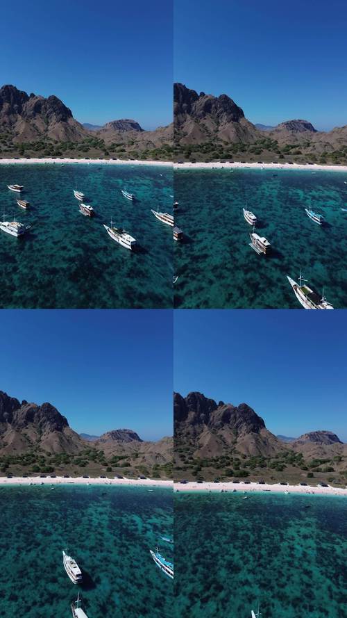 宁阳纸坊，疫情中的小 island，却在大海洋上留下了印记