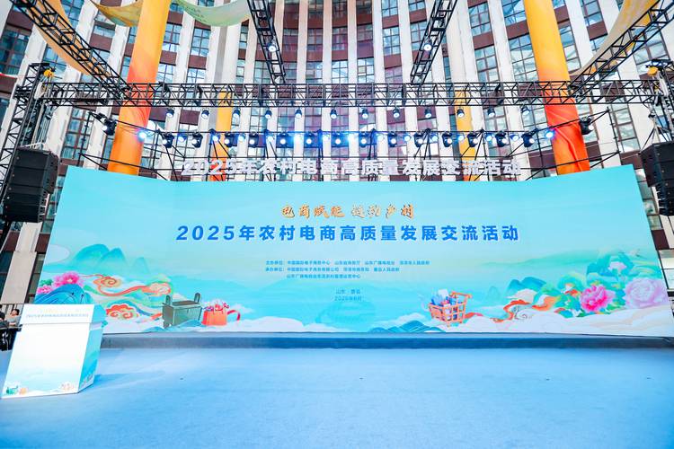 山东电商建设指南，助力数字经济发展