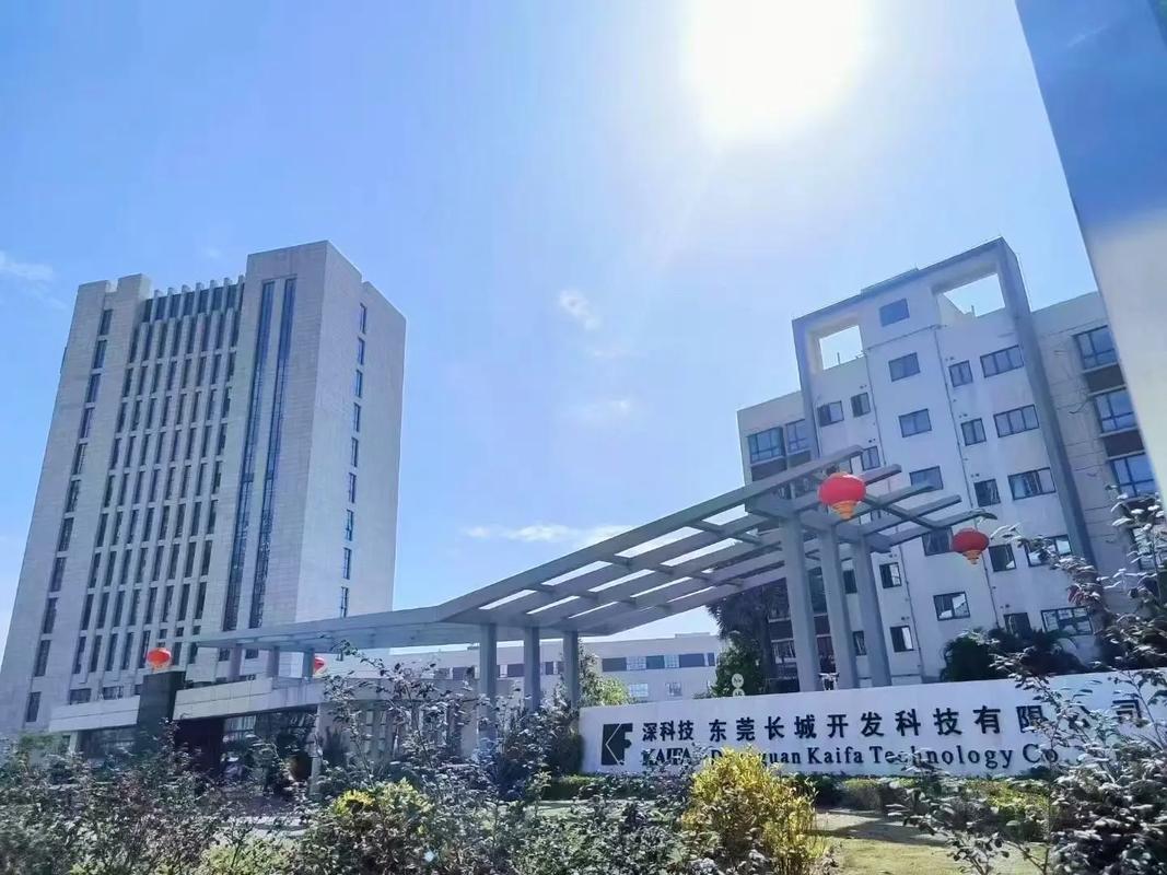 东莞公司建设网站，助力企业高质量发展