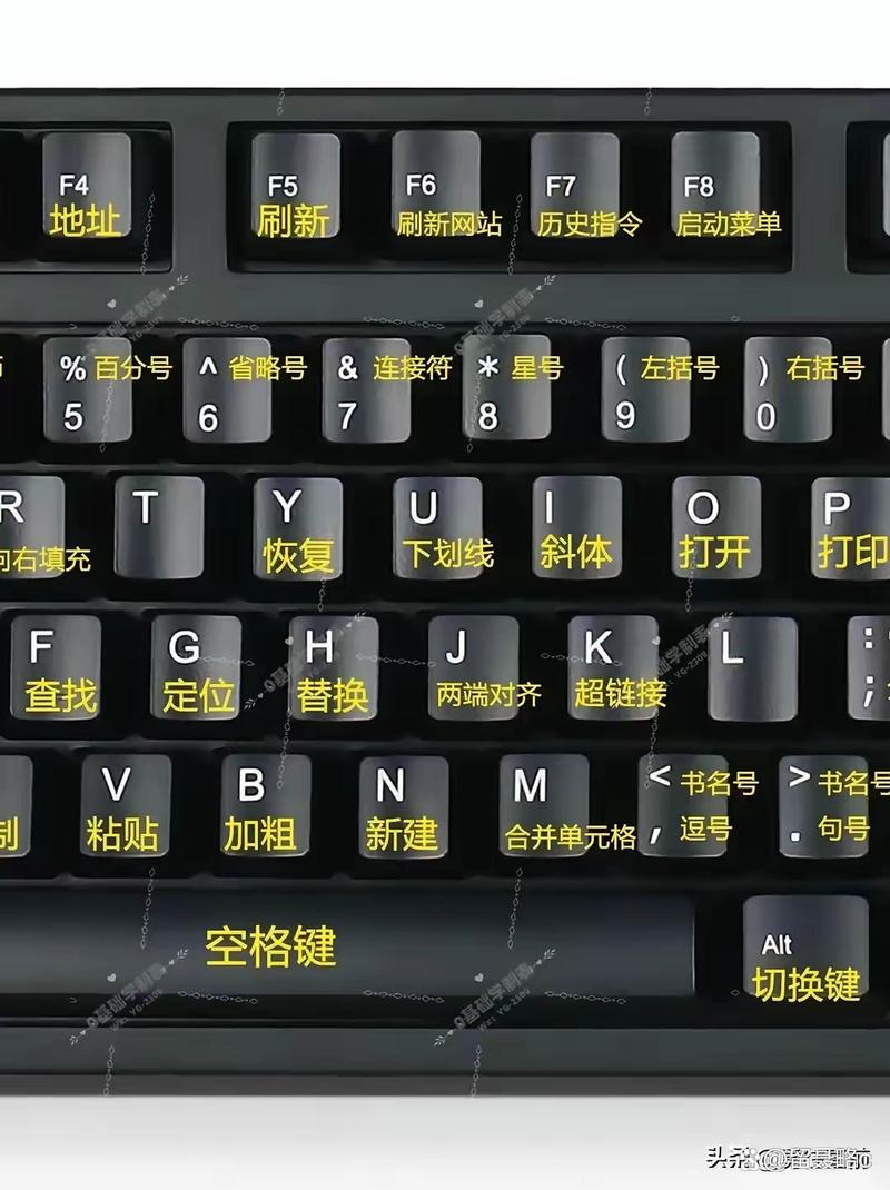 电脑基本操作基础