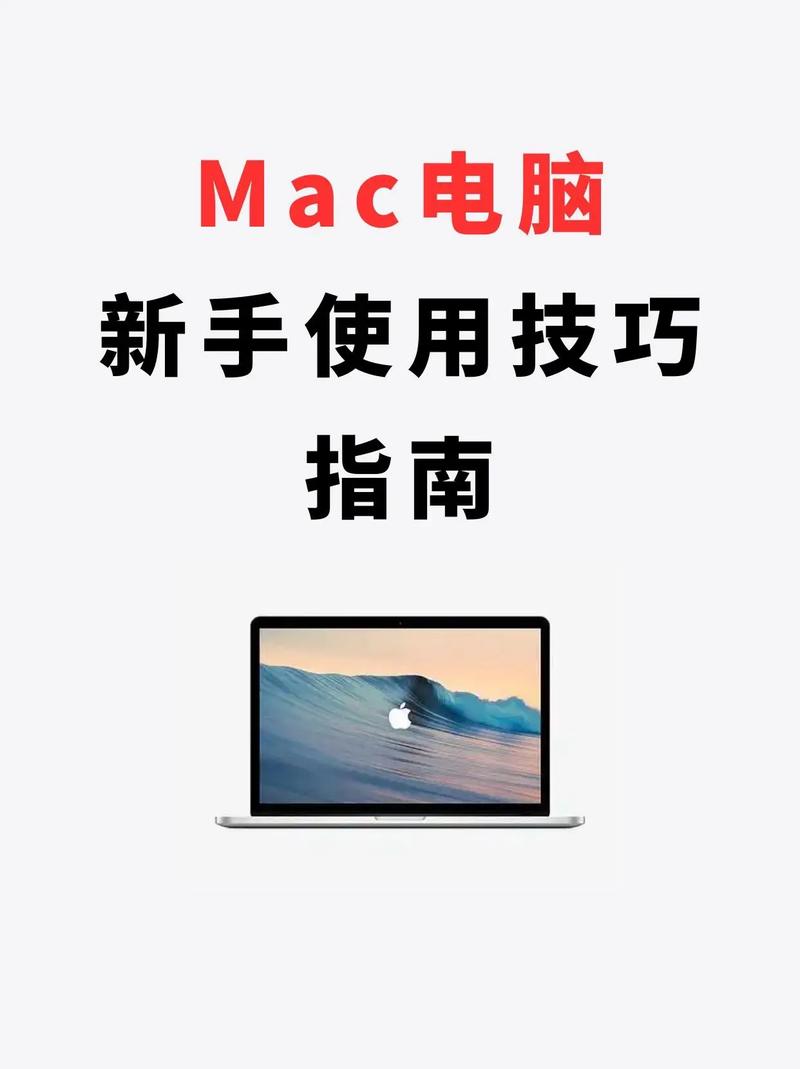 电脑发软件指南，让你的电脑运行更快更稳定