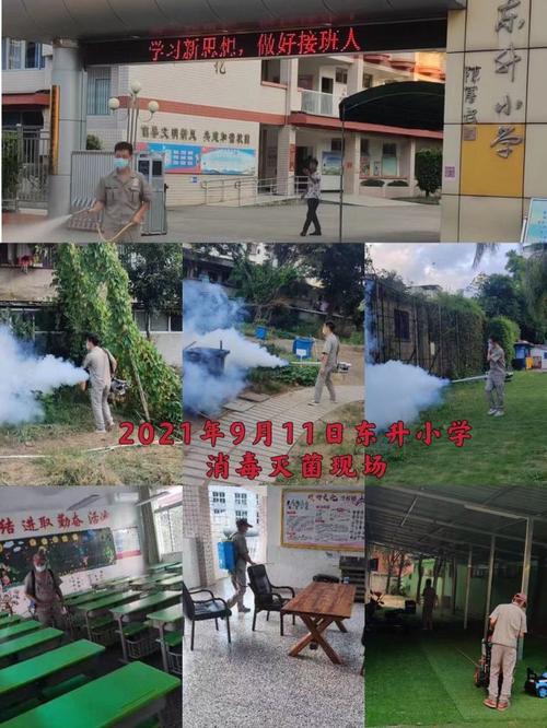 东升集团疫情最新消息解析