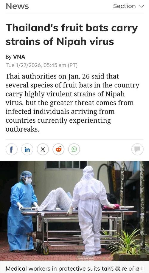 国外疫情，全球暴露的真相与应对策略