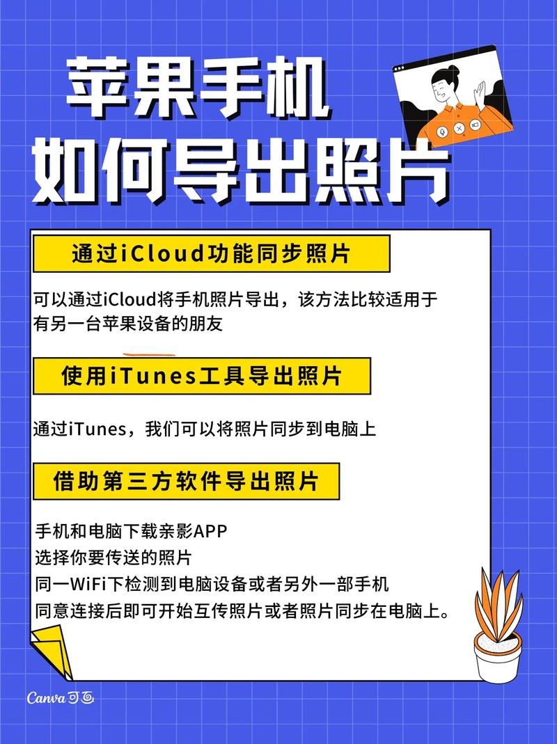 如何让iPhone照片顺利导入电脑？详细步骤与小技巧