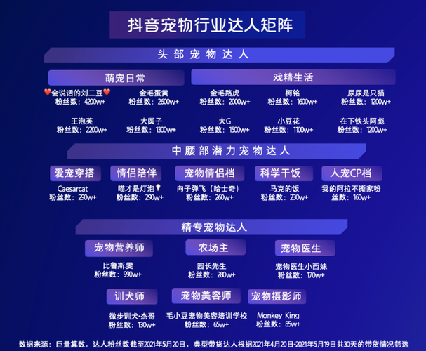 如何利用抖音24小时自助餐数据洞察市场趋势