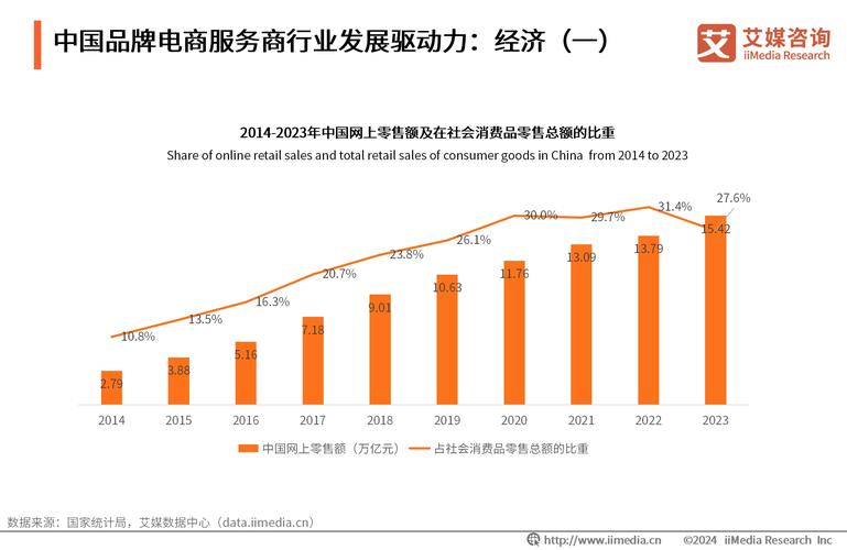 网络服务商,行业地位、专业领域与发展趋势