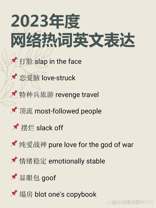 汉语网络热词的英文翻译指南
