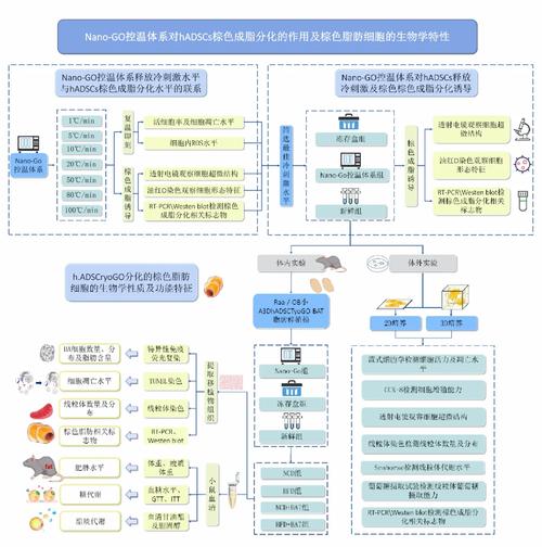 一、技术进步,从模拟到高速