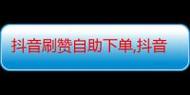 抖音赞自助下单速度快,这些功能你都了解了吗?快看这里有怎么操作!