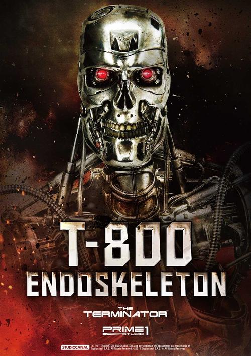 数码建站,如何让您的网站成为terminator