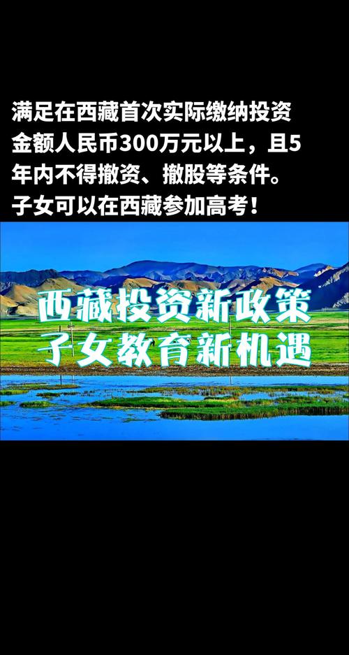 西藏网络公司,机遇与未来
