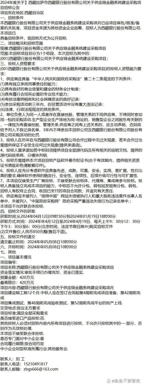 西藏网络公司,机遇与未来