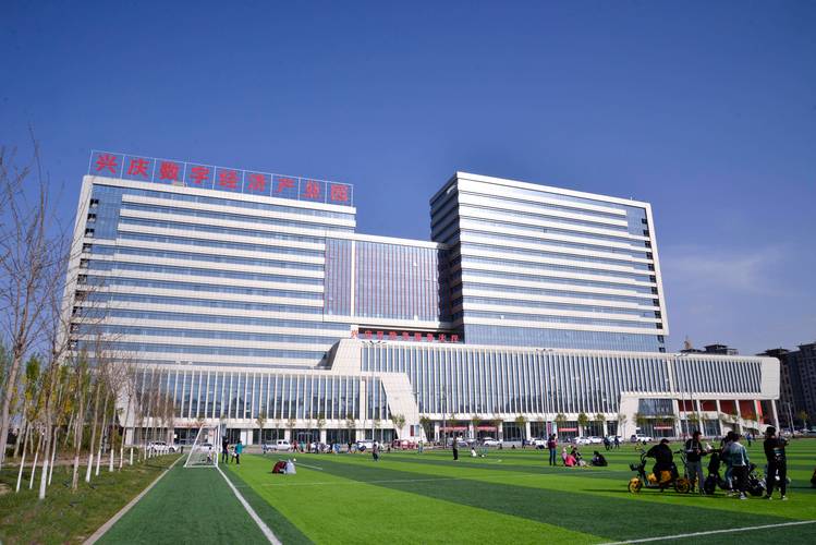 引言,银川市网络科技公司的成立背景