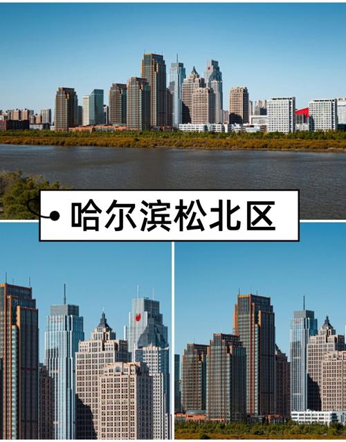 哈尔滨,企业网络的璀璨明珠