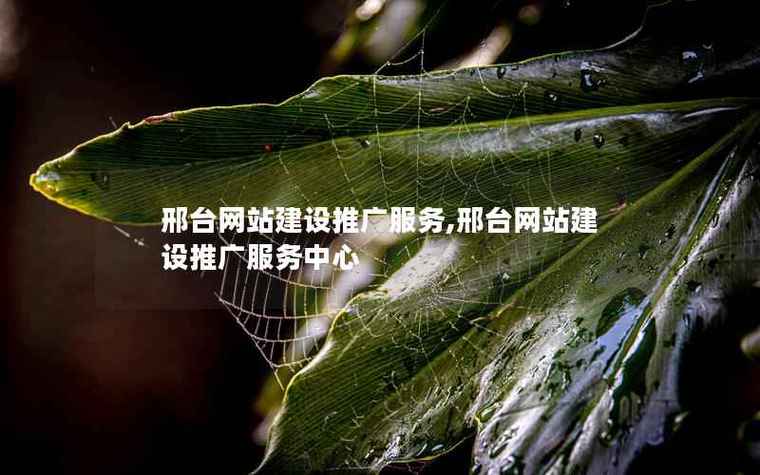 邢台推广网络公司怎么走