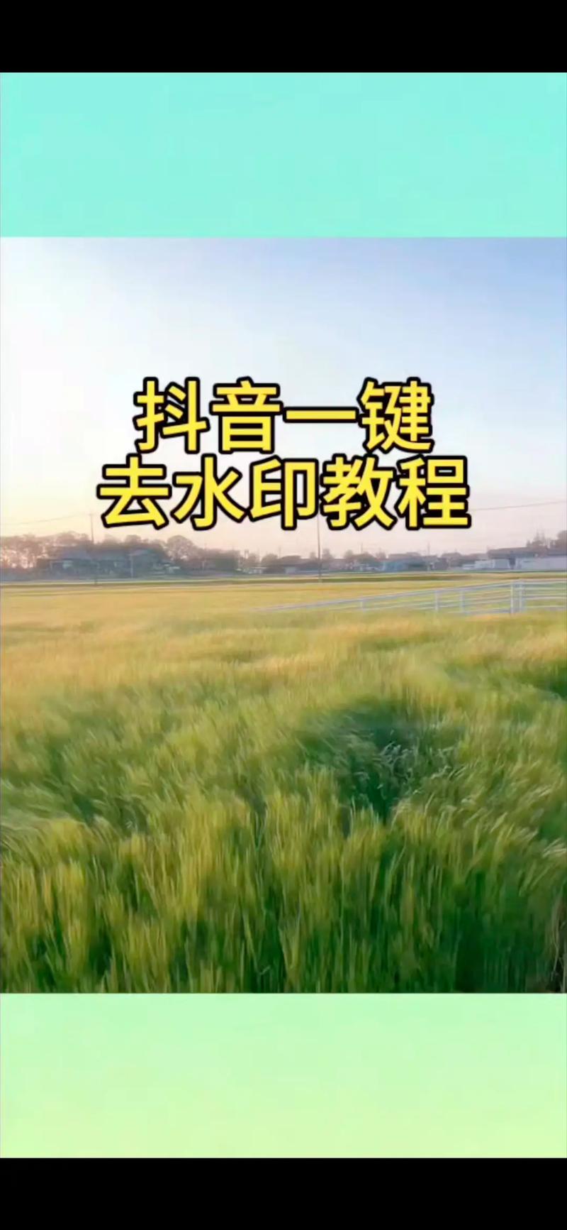 如何在抖音热门秒刷中高效、便捷、安全进行业务去水印?网易云导出工具解析