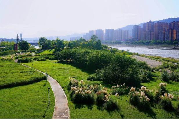 雅安,文化与自然的完美结合—雅安网站建设推广指南
