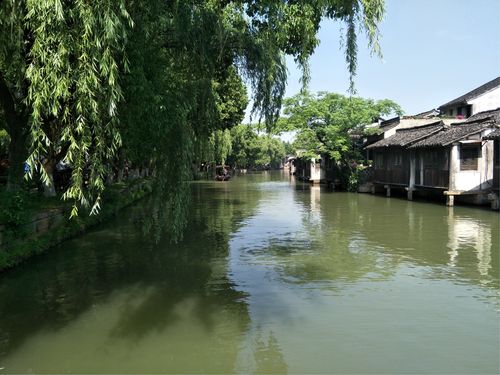 乌镇与舟山,疫情新动向