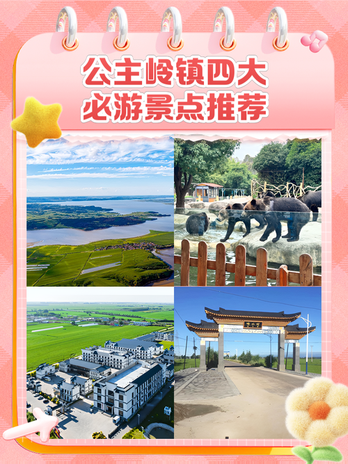 探索公主岭的最佳网站选择