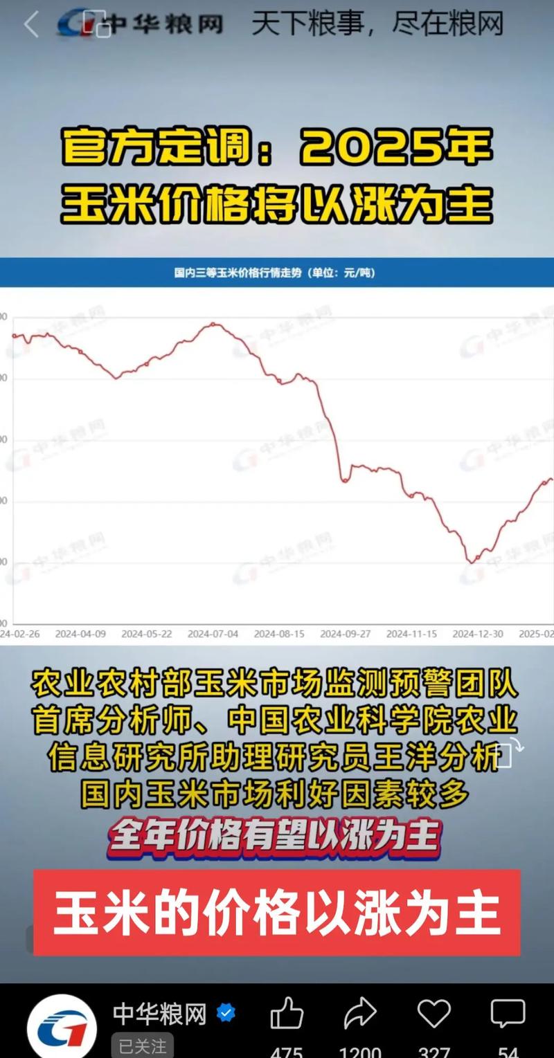 玉米市场疫情最新消息,从疫情到arrow back