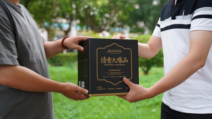 绵竹网络公司排名