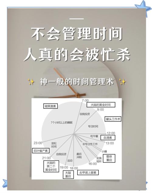 如何高效利用网络时间?从时间管理指南到实用技巧,让你的网络生活更充实