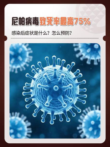 疫情最新消息，都兰感染人数、死亡人数为何如此高？