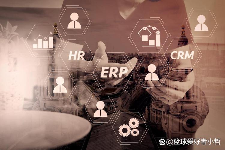 招远SEO优化与精准营销,助力您的品牌崛起