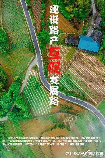 政府网站建设，从起点到终点的思考