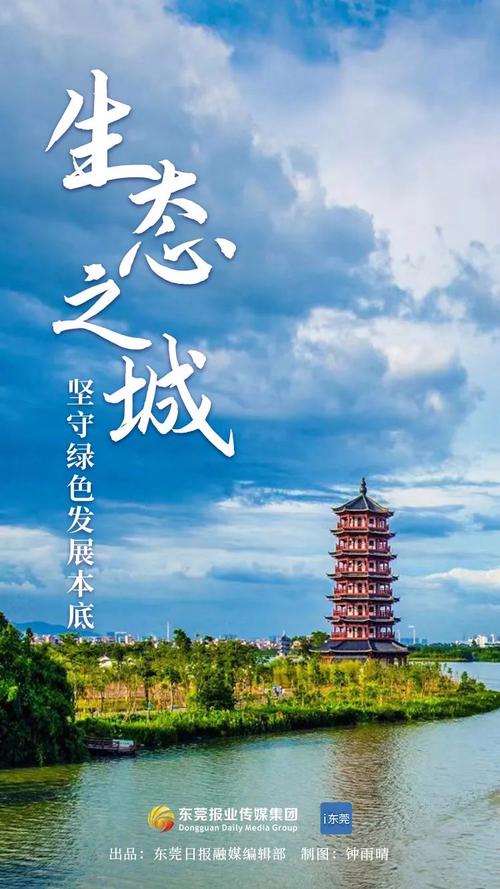 聚焦东莞,精准营销,打造成功之路
