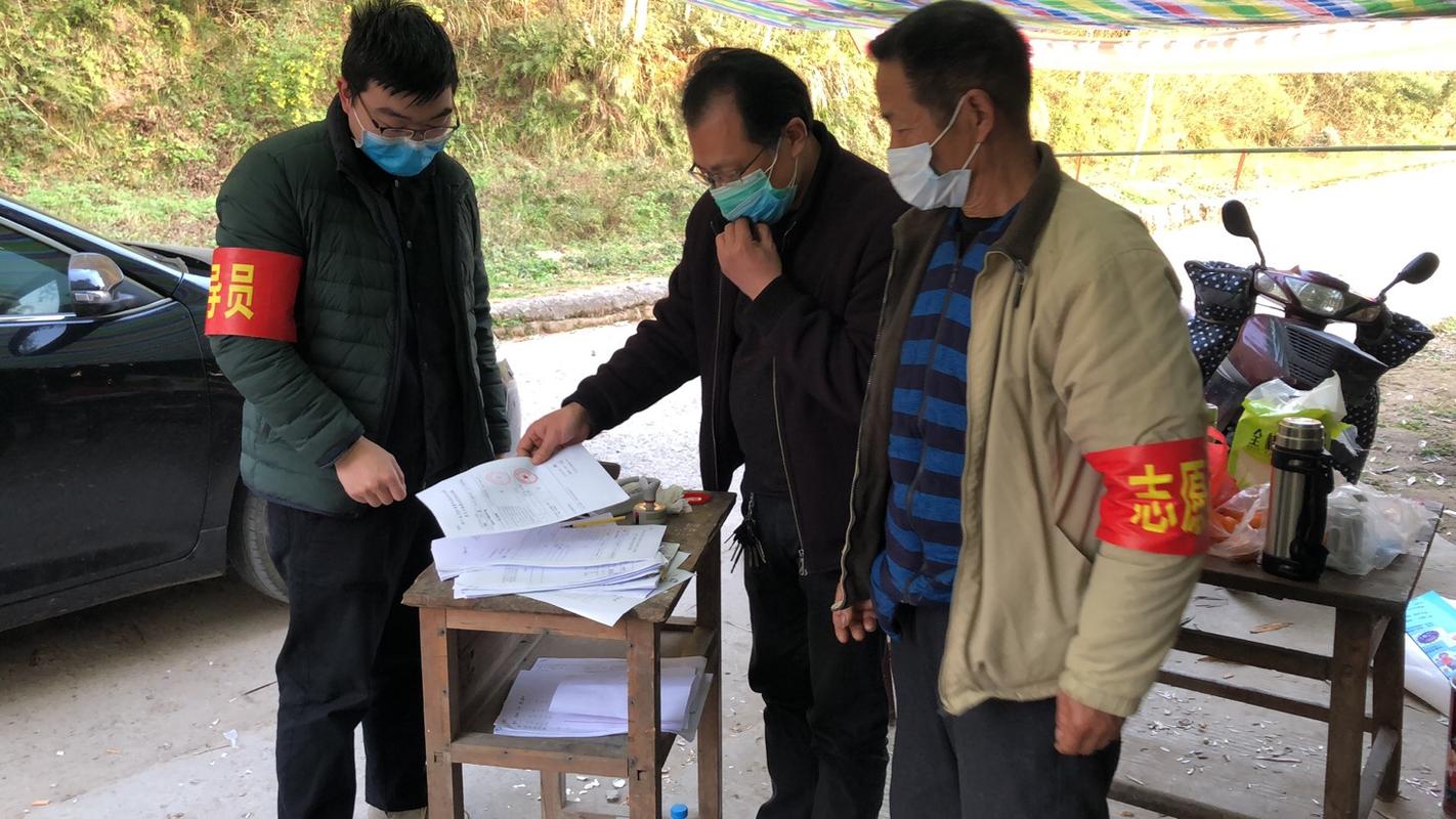 内乡疫情封村最新动态，影响与应对策略