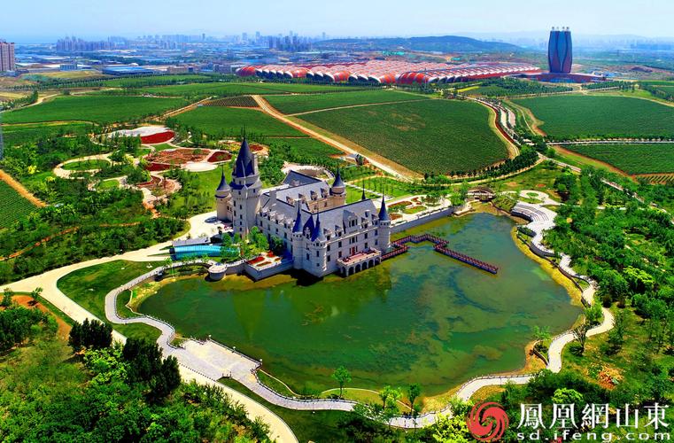 烟台城市,网站设计与优化的最佳实践